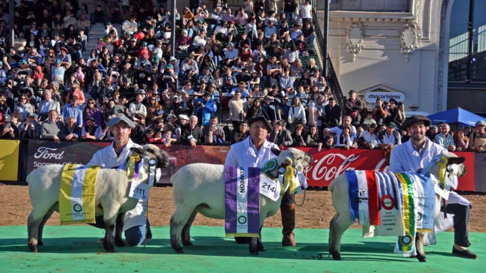 Momento histrico para la Hampshire Down: Por primera vez, los ovinos juraron en el Pista Central de Palermo