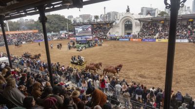 Más de 1.300.000 personas visitaron la Expo Rural