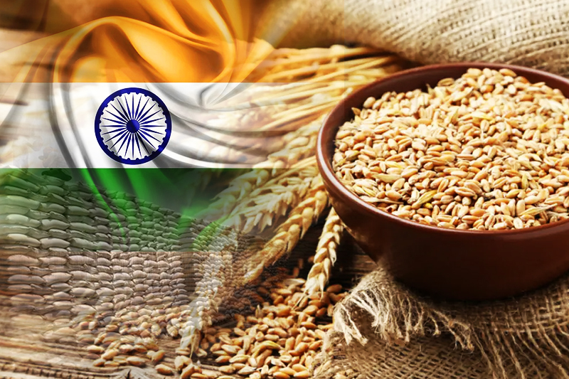 La producción de cereales de la India sigue siendo fuerte