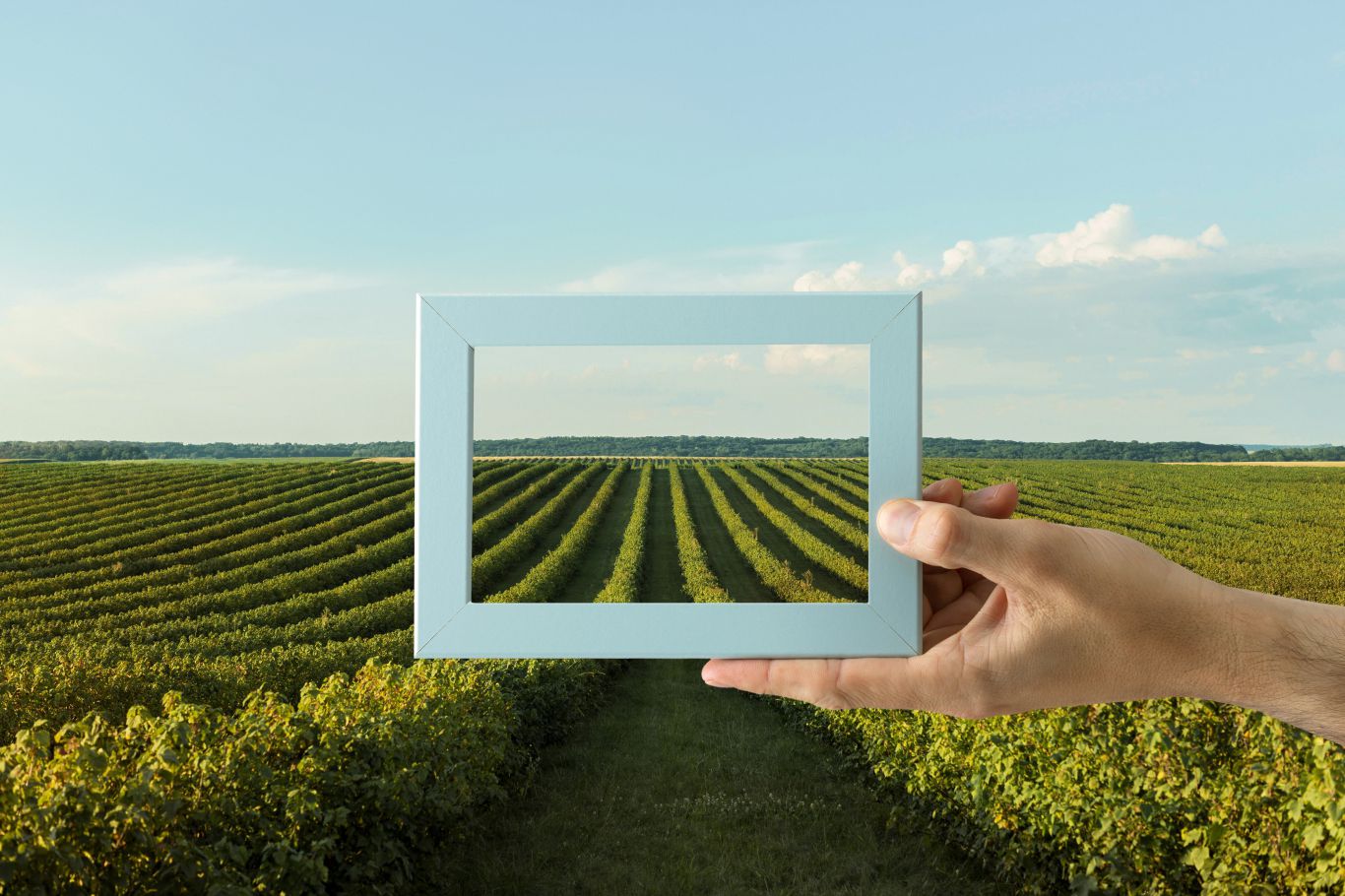 5 de cada 10 productores argentinos adopta alguna Agtech: mapeo de cultivos y aplicaciones variables de insumos entre las más usadas