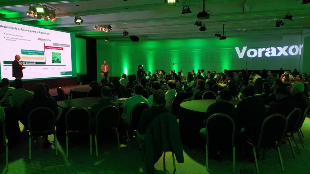 BASF lanza Voraxor: el herbicida desecante que revoluciona el control de malezas de hoja ancha