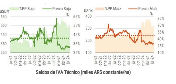 Los Márgenes No Alcanzan: La campaña gruesa inicia con desafíos económicos