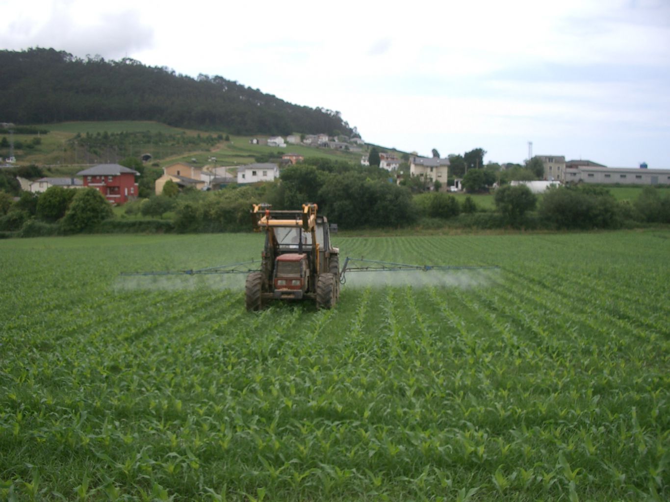 La nueva estrategia de la EPA para herbicidas: Un impacto significativo en la agricultura y la protección de especies en peligro