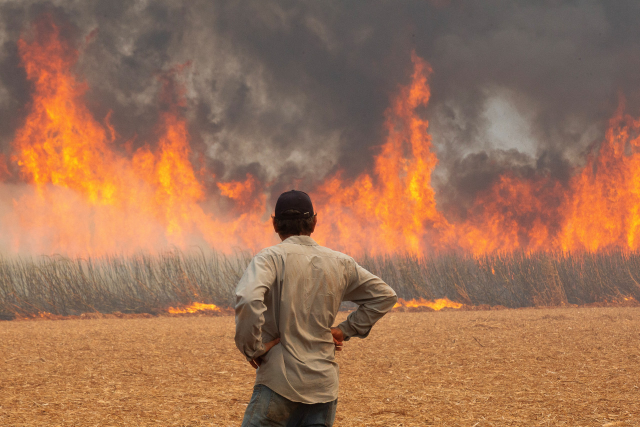 Brasil en emergencia: incendios descontrolados arrasan con campos y amenazan a millones en San Pablo