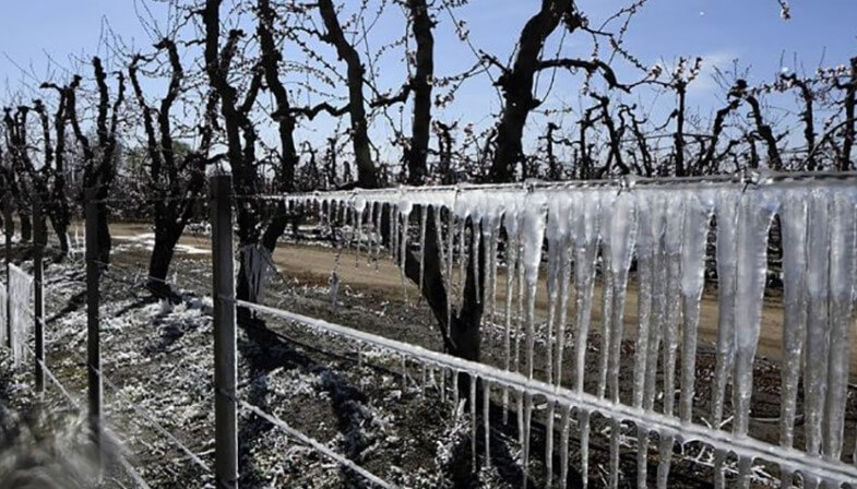 Mendoza lanza un seguro agrícola para pequeños productores 