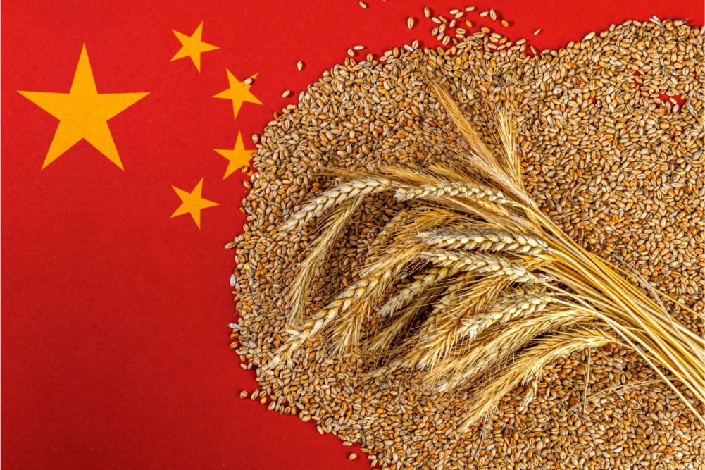 China se corre del lugar de principal importador de cereales