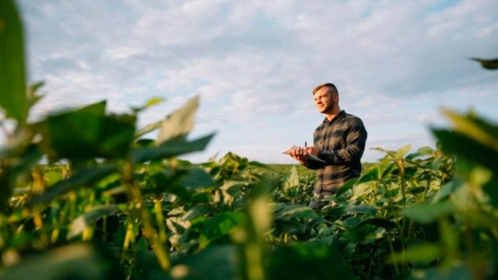 Productores mantienen confianza, pero caen las expectativas a futuro según Ag Barometer