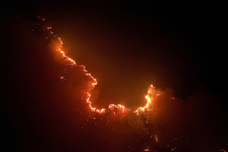 Incendios en la Amazonia brasileña alcanzan niveles críticos: el agosto más devastador en 14 años