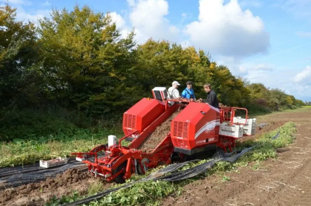 El Desafío de la Automatización en la Cosecha: ¿Dónde Están los Robots Recogedores de Fruta?