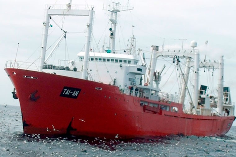 Crece la controversia en torno a la pesca de merluza negra en el sur del pais