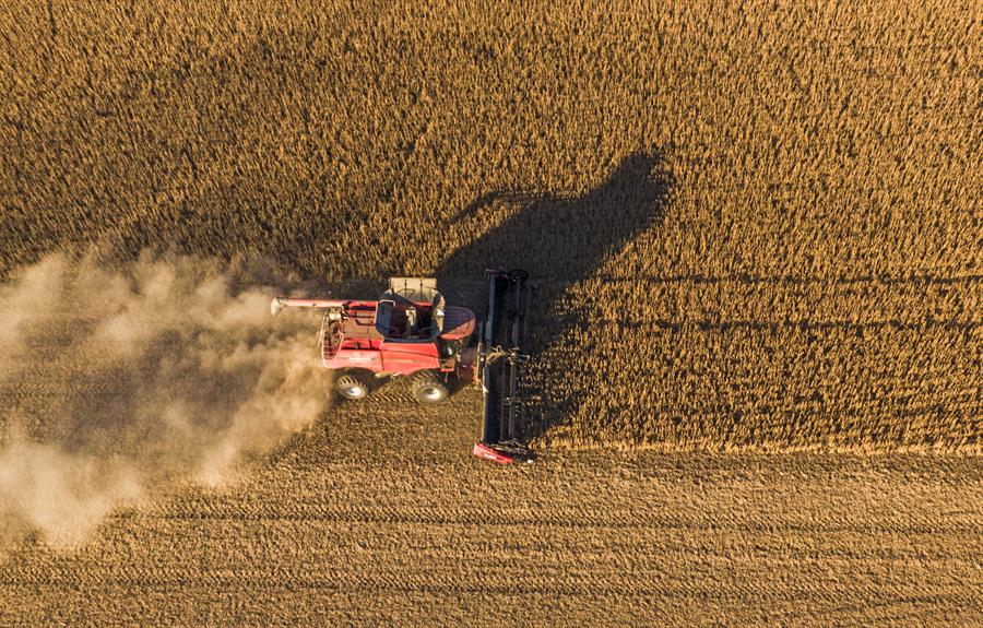 Avance en la cosecha de soja y otros cultivos según el informe del USDA