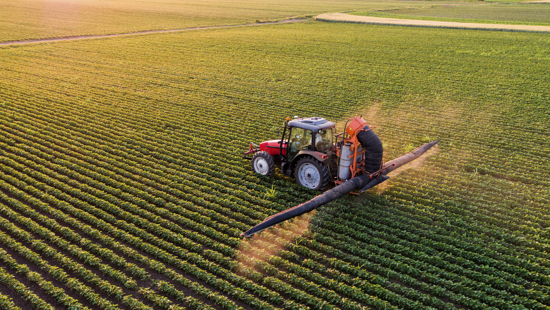 Esté atento a los cambios en la forma de comprar fertilizantes