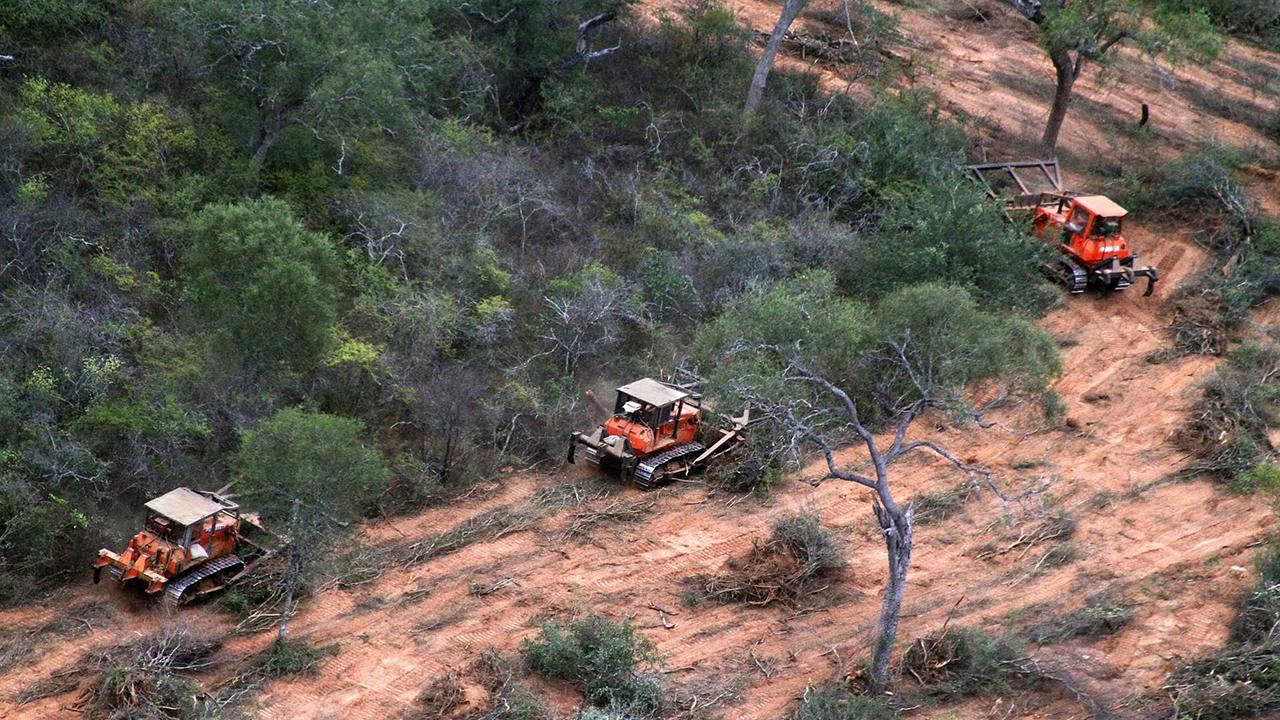 Entidades enfrentan desafíos internacionales: reclamos a la UE y ajustes en la hidrovía
