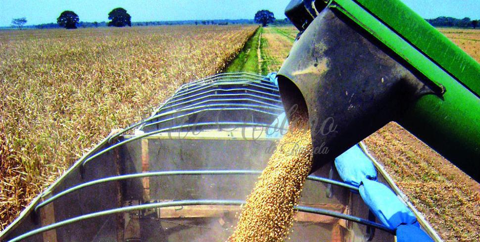 Retenciones en suspenso: el campo se inquieta ante el retorno de la presión fiscal