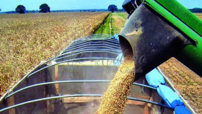 "El Estado se queda con el 64,3 % de la renta agrícola"