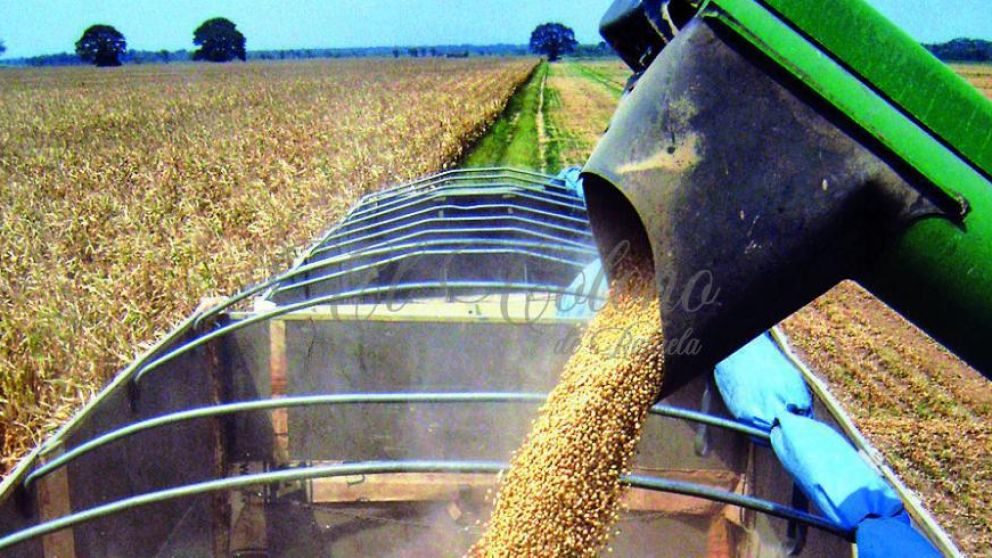 El sector agroindustrial celebr la decisin del Banco Central de seguir aflojando el cepo
