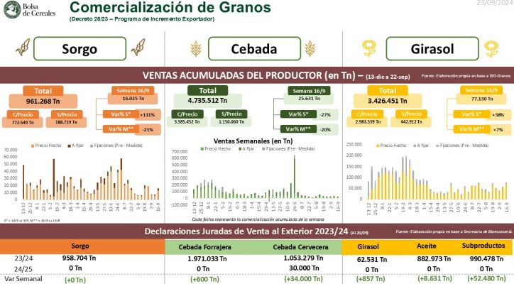 Balance de exportaciones de granos desde diciembre 2023