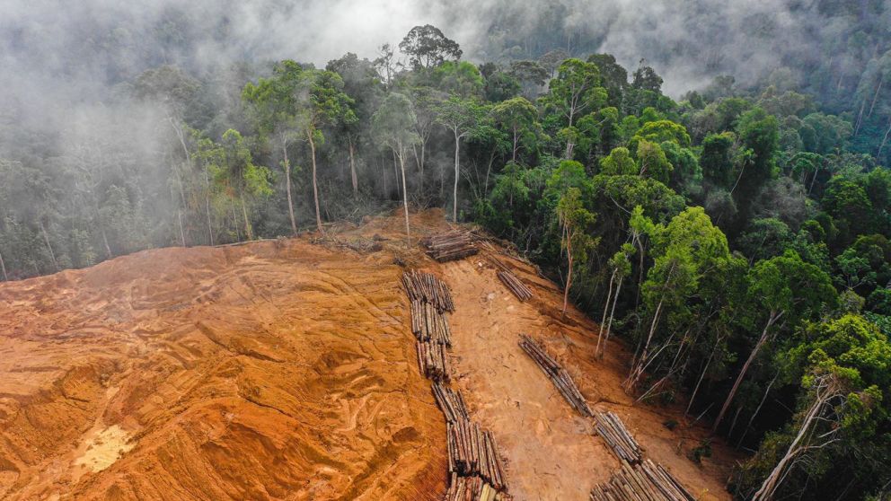La Unin Europea aplaza la normativa sobre productos libres de deforestacin