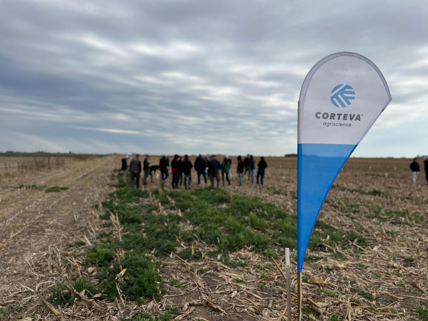 Una evolución para el campo: Herramientas para el control de malezas de forma más eficiente y más sostenible