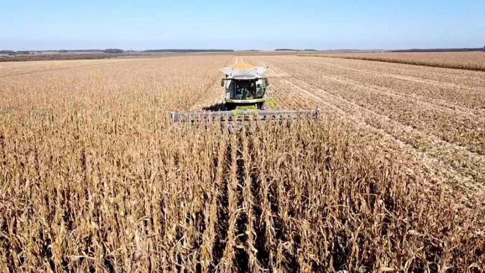 La actividad econmica argentina cerr 2024 con un crecimiento del 2,2% interanual