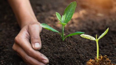 FERTILIZAR se suma al Encuentro por el Día Mundial del Suelo 2024