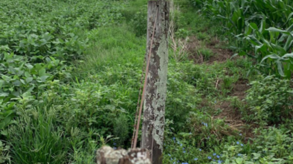 La Pampa Ondulada perdi ms de 1200 km de alambrados rurales en 20 aos