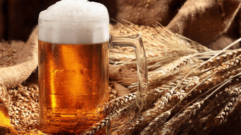 Declaran de "inters provincial" a la produccin de malta y cerveza