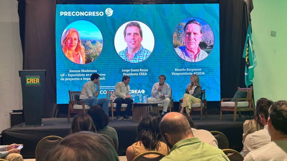 Soja: producciones ms sostenibles en el Gran Chaco Argentino
