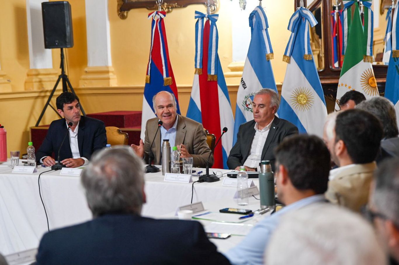 Consejo Federal Agropecuario: RIGI, trazabilidad electrónica y financiamiento, los ejes de la primera reunión en el NEA
