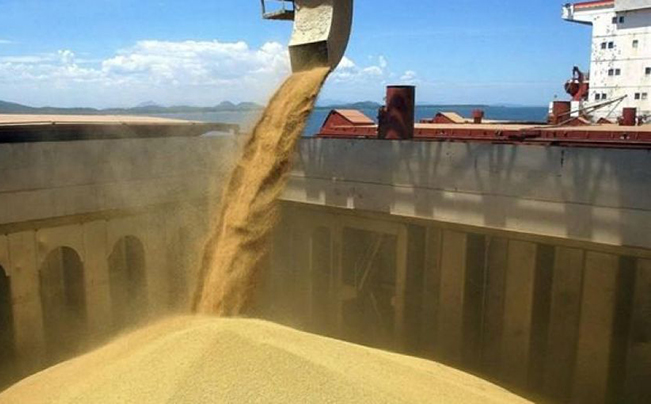 SENASA aprueba nueva regulación para el control de bodegas en exportación de granos