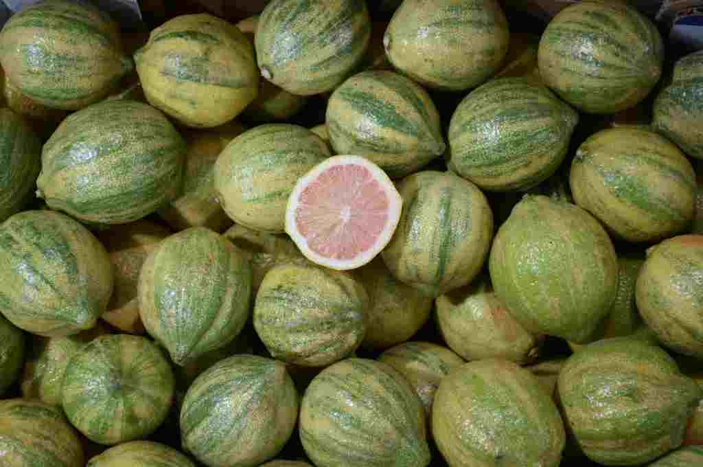 Cuál es el limón pink ?