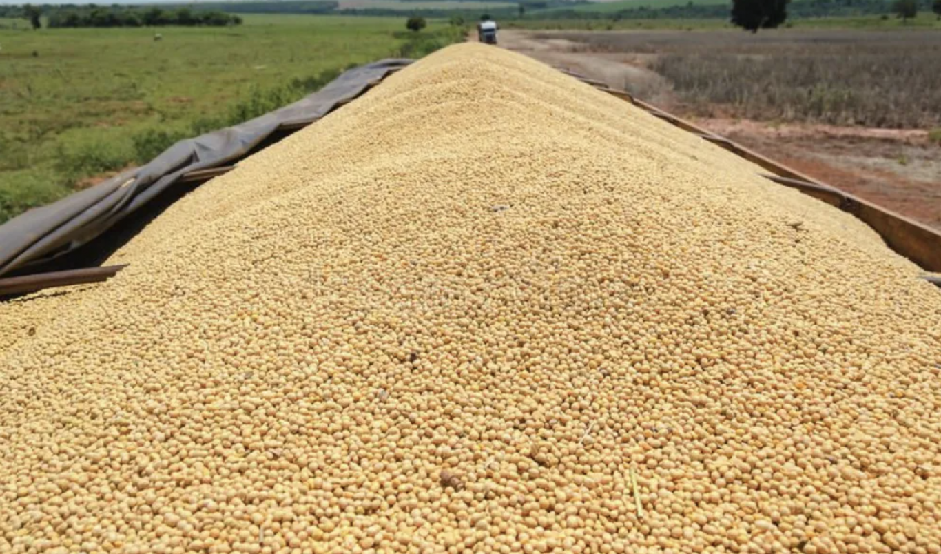 Histórico ingreso de divisas del agro en octubre: Un repunte clave para el sector