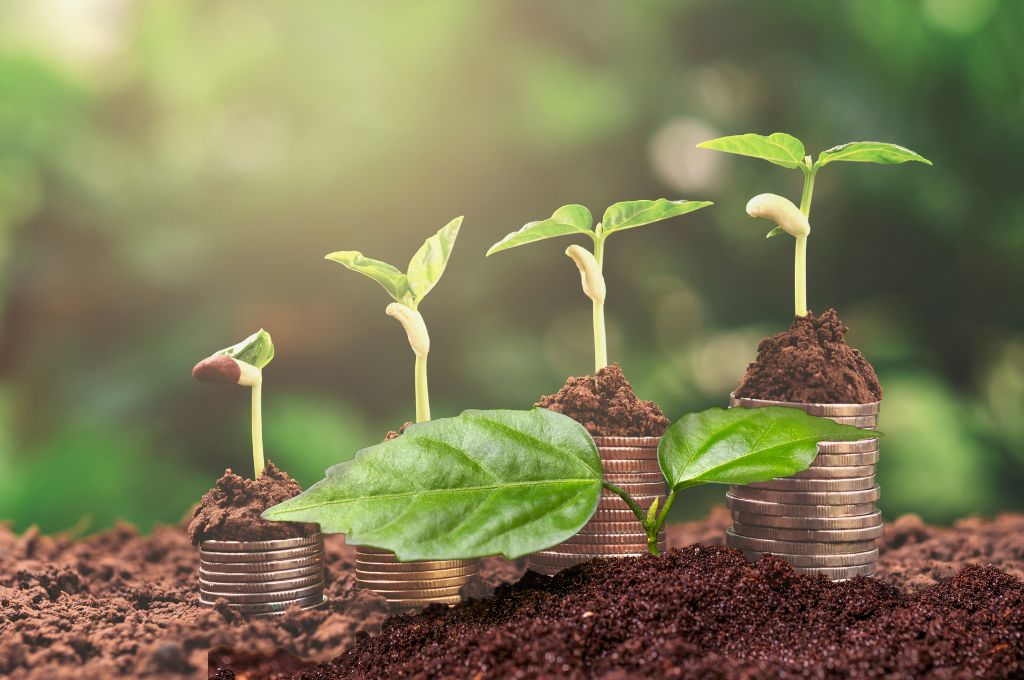 Ingenieros agrónomos apoyan la nueva Ley de Warrants como solución para la crisis