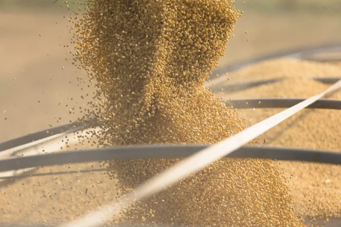 Brasil proyecta récord en exportación de harina de soja para 2024