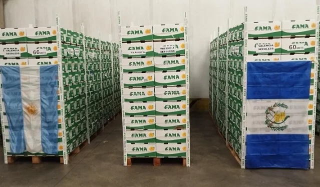 "Argentina concretó su primer envío de naranjas frescas a Guatemala"