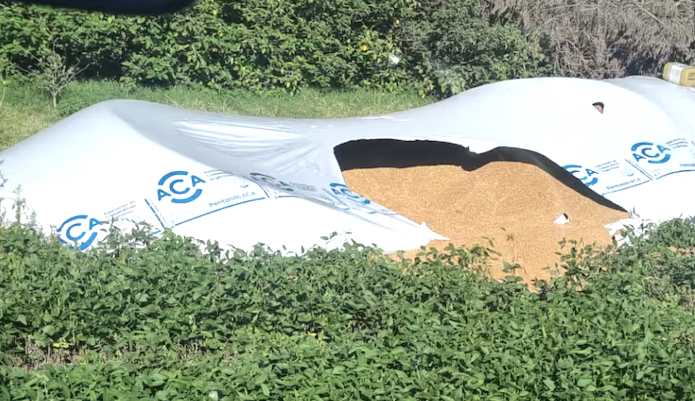 Preocupación en el sector rural bonaerense por ola de delitos y vandalismo en Leandro N. Alem