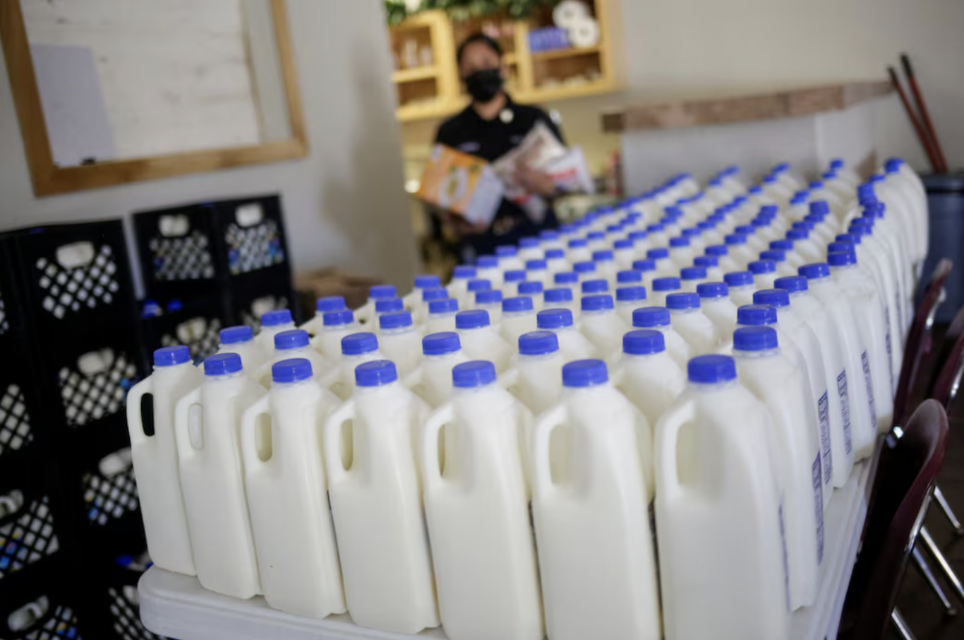 El USDA gana demanda sobre la comercialización de la leche en un caso presentado por una estudiante