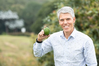 Ricardo Uribe: el pionero que llevó el aguacate Hass colombiano al mundo