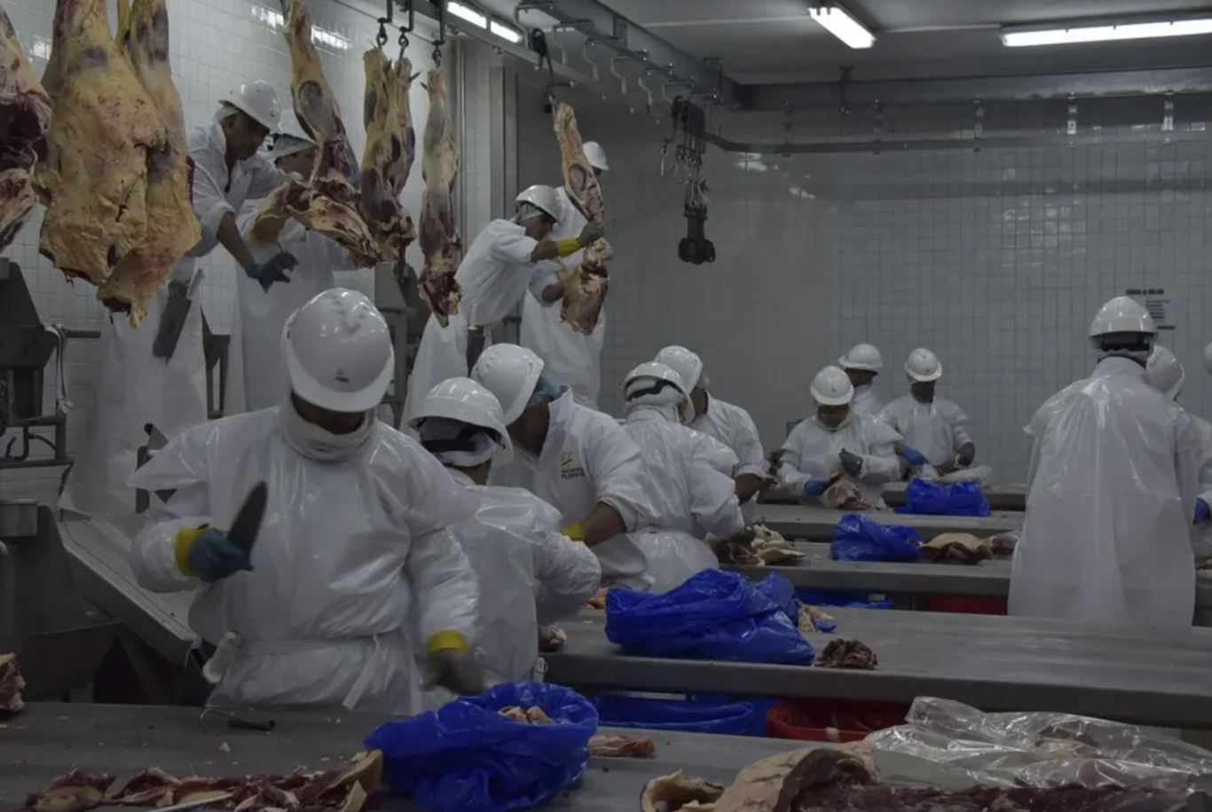 Reestructuración de mercados cárnicos: China compró menos, pero otros destinos compensaron la caída