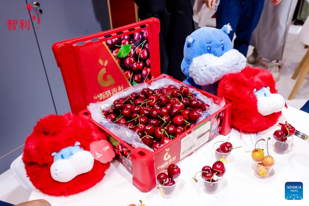 Exportación de cerezas frescas de Chile a China registra cifra récord en la temporada 2023-2024