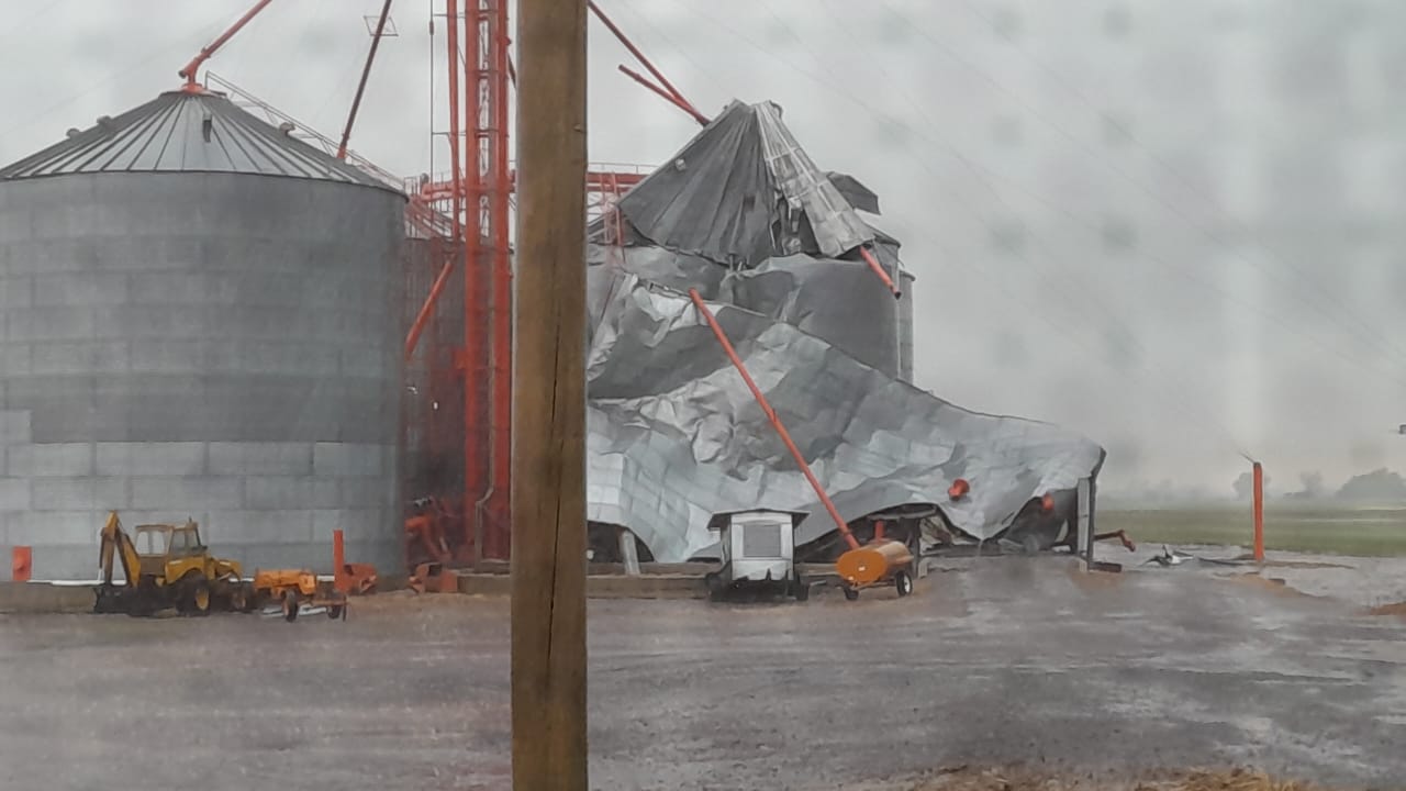 Fuerte granizo provoca pérdidas millonarias en cultivos de 9 de Julio