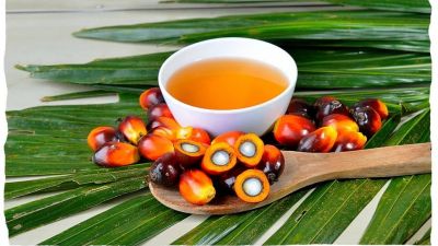 Indonesia aumentará al 10% el arancel de exportación del aceite de palma crudo
