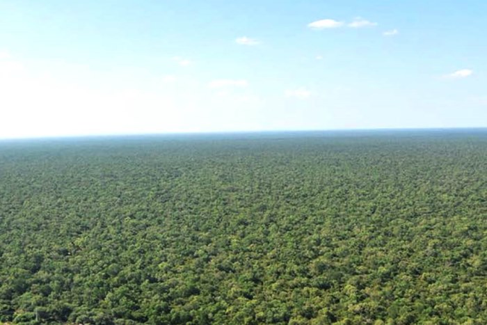Salta redefine su ordenamiento territorial: polémica por el aumento de tierras productivas