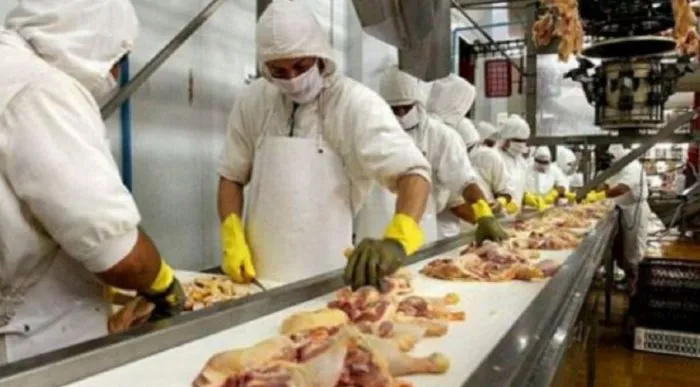 Retenciones 0%: el Gobierno suspende hasta octubre los derechos de exportación para granos y carnes. Cómo funciona?