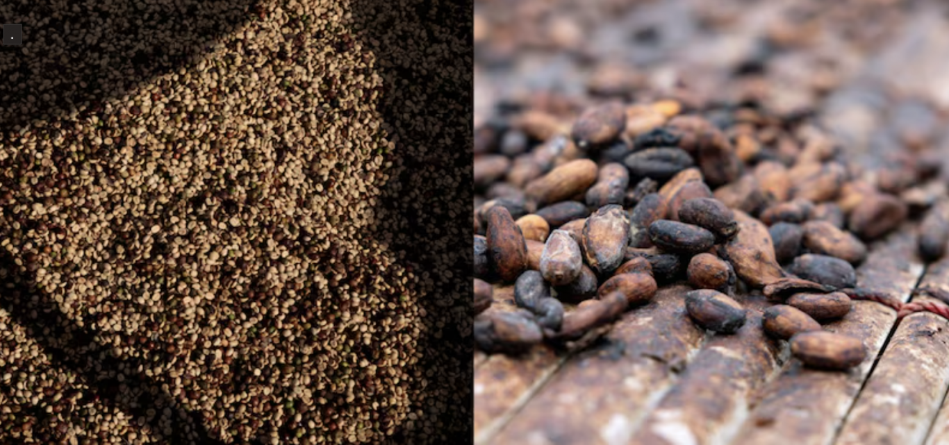 Cacao y café, los grandes ganadores de 2024; la soja, entre los perdedores