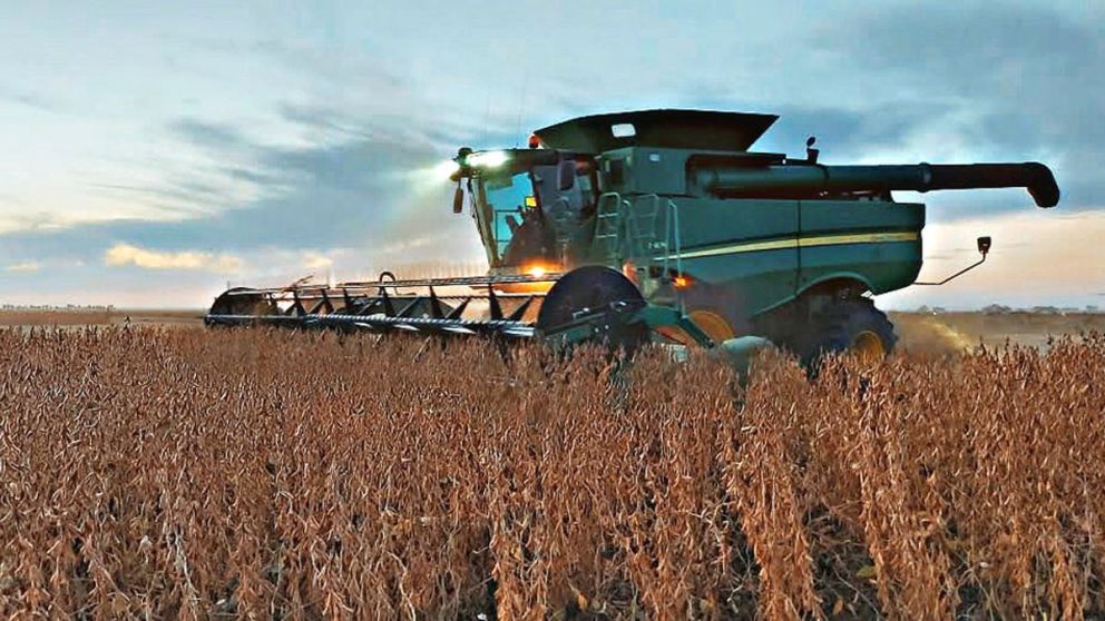 Retenciones al agro: decisiones clave que definen el futuro del campo argentino