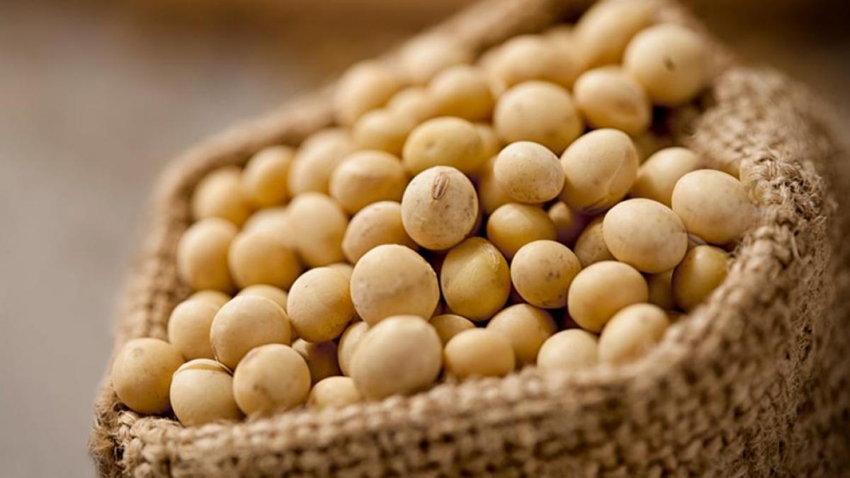 China aprueba más cultivos transgénicos para aumentar los rendimientos y garantizar la seguridad alimentaria