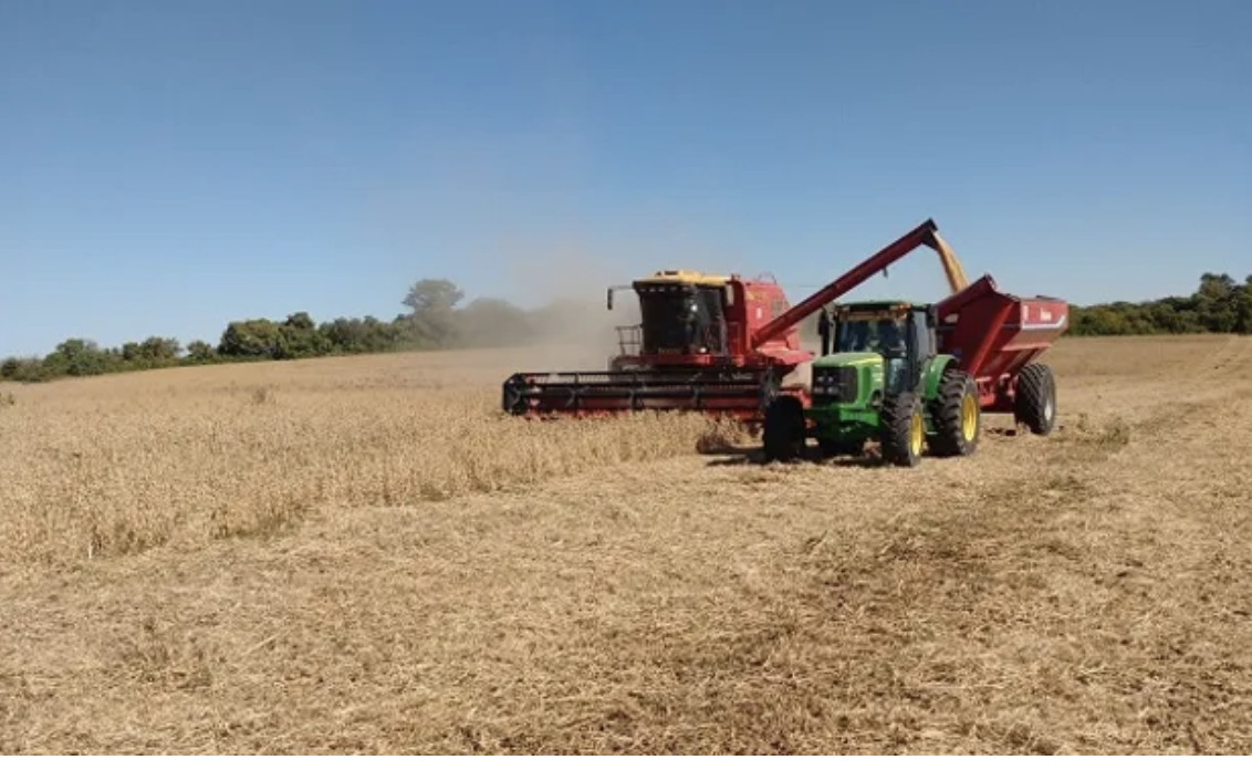 Retroceso en la venta de maquinaria agrícola en 2024: dos marcas se consolidan como líderes del mercado