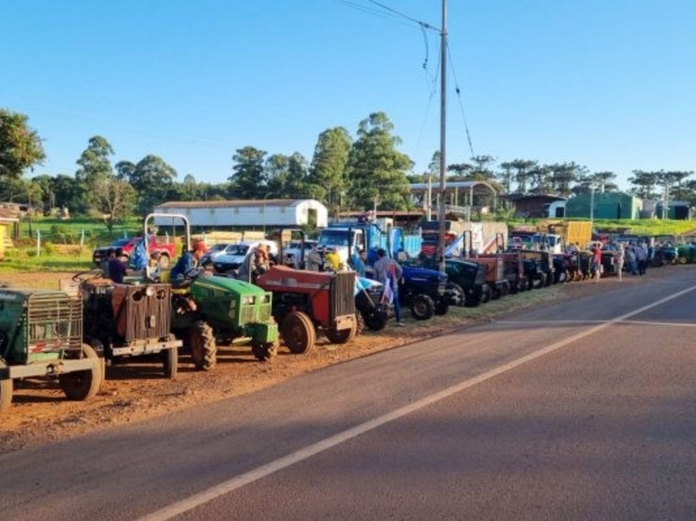 Productores yerbateros exigen medidas ante la caída de precios
