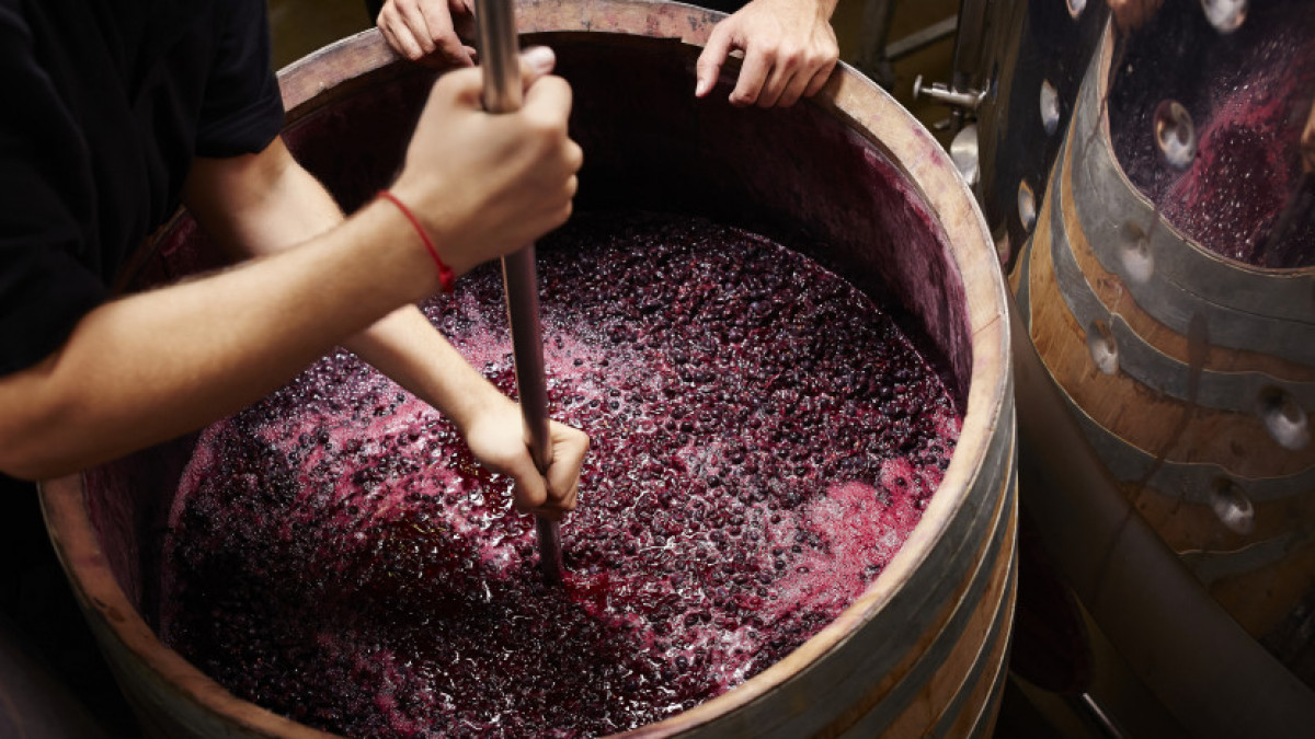 El mosto apuntaló la suba de exportaciones vitivinicolas en 2024